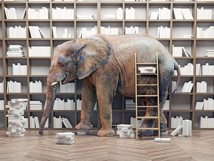 Illustration of an elephant in a library