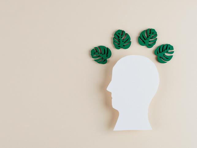 An image of a head in profile with green palm leaves above it
