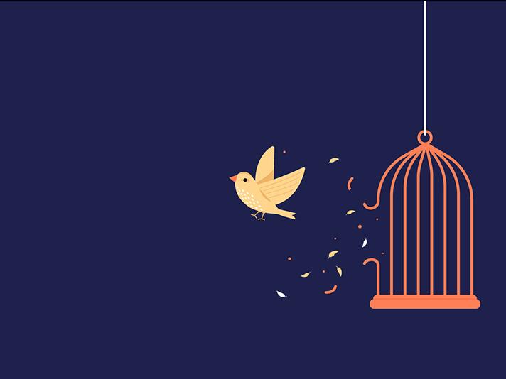 Illustration of bird released from cage