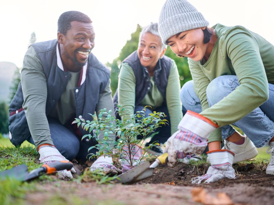A group of students planting trees