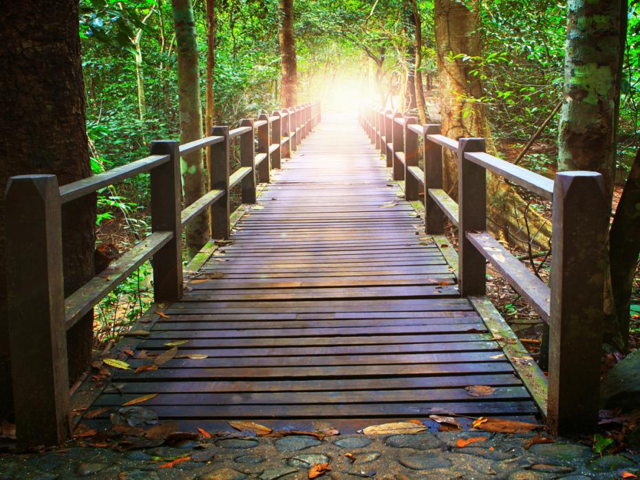 A bridge leading off into the distance