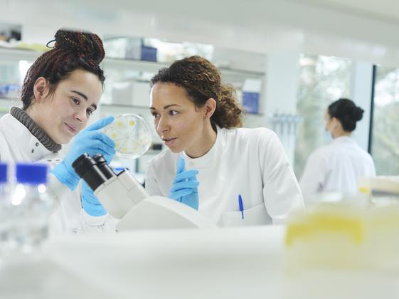 Researchers discuss experiments in a lab