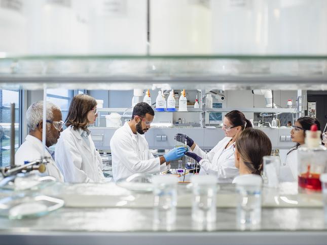Scientists work together in a lab