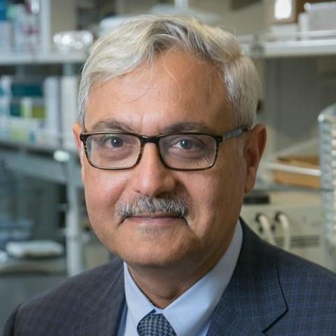 Ashutosh Chilkoti is the Alan L. Kaganov Professor of Biomedical Engineering in the Pratt School of Engineering at Duke University.