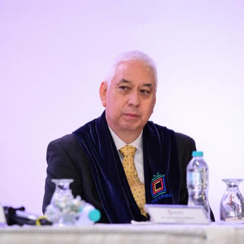 Ricardo A. Ramirez-Mendoza