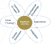 Fink’s taxonomy of significant learning (2003)