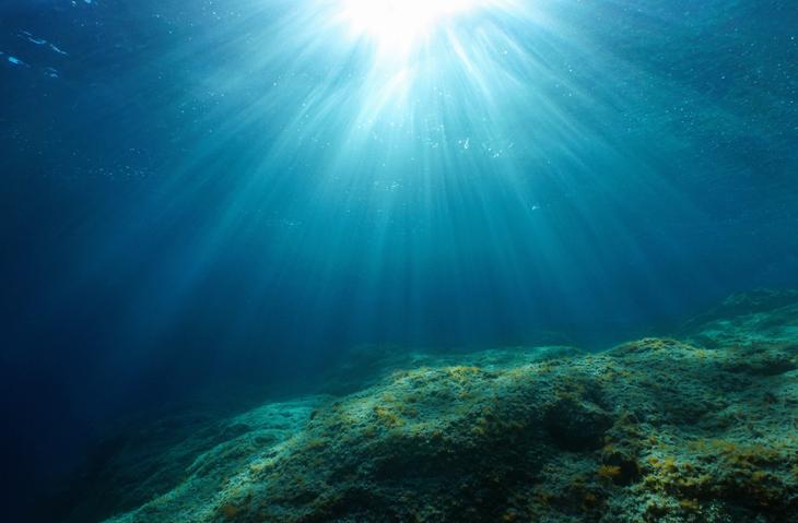 An underwater scene