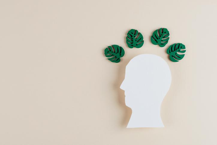An image of a head in profile with green palm leaves above it