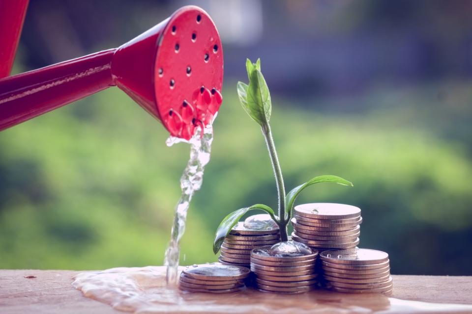 A plant being watered by a watering can