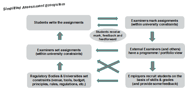Figure 2: Components of the Assessment Ecosystem 