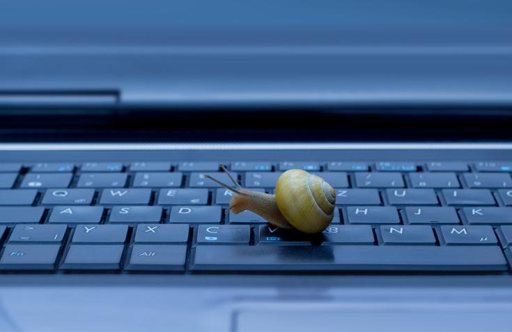 A snail on a laptop keyboard