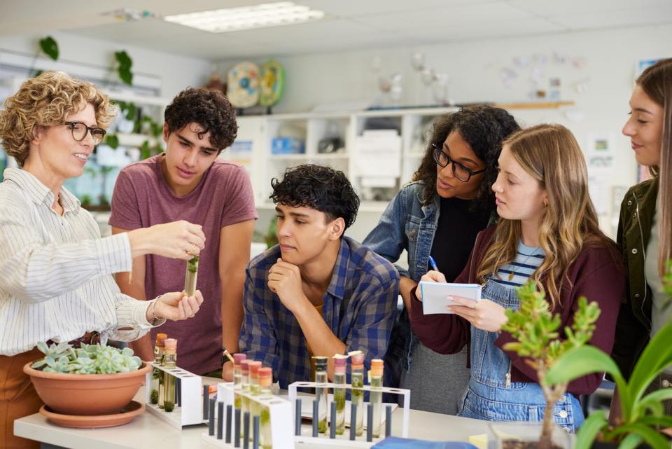 Students testing samples in a lab