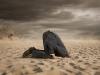 Western universities need to get theirs heads out of the sand and embrace international partnerships