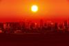 A city hit by an extreme heatwave