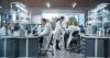 Scientists work in a lab