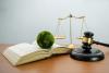 Book, scales, gavel, fuzzy globe, environmental justice concept